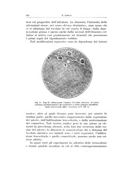 Archivio italiano di urologia