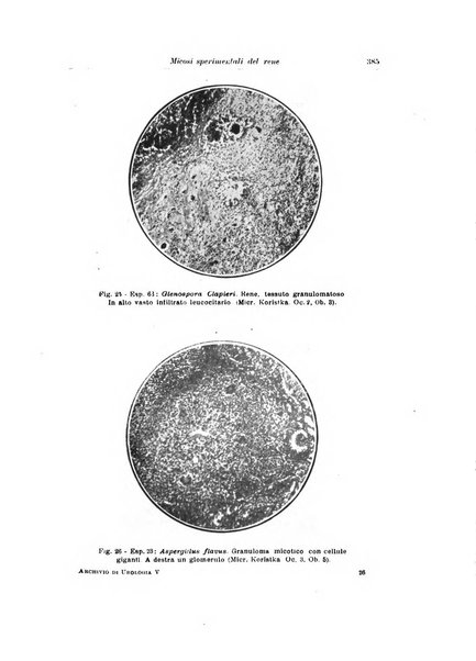 Archivio italiano di urologia