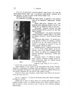 giornale/PUV0114683/1928-1929/unico/00000486