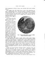 giornale/PUV0114683/1930/v.1/00000021