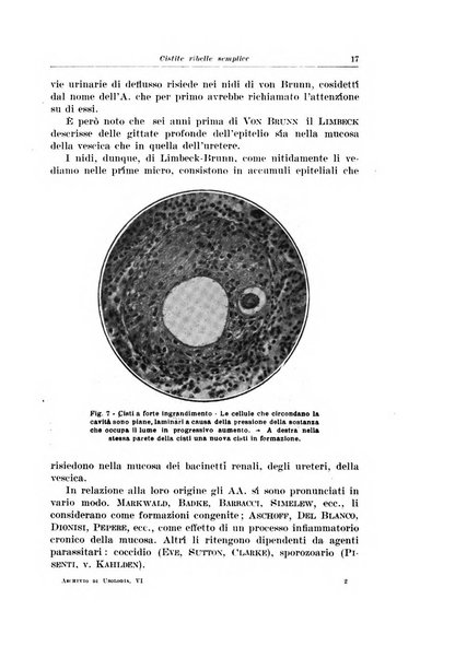 Archivio italiano di urologia