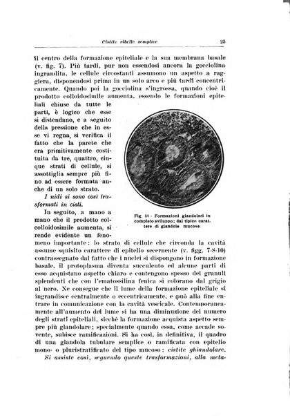 Archivio italiano di urologia