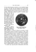 giornale/PUV0114683/1930/v.1/00000031