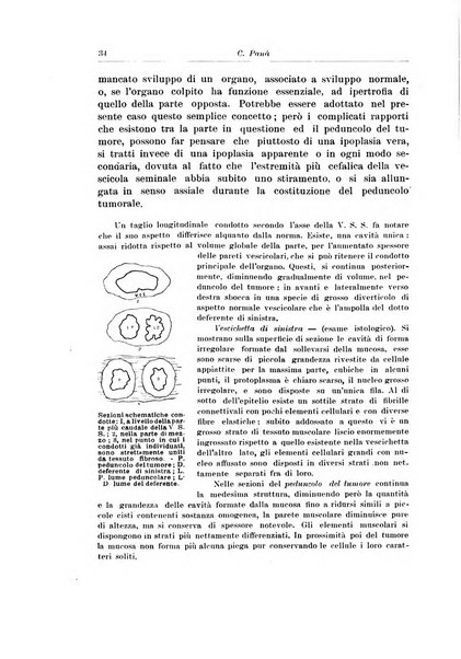 Archivio italiano di urologia