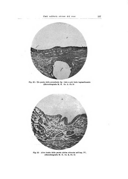 Archivio italiano di urologia