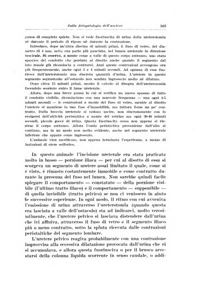 Archivio italiano di urologia