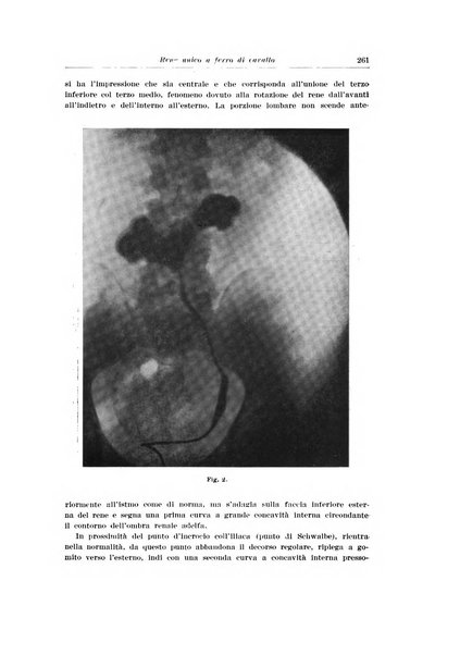 Archivio italiano di urologia