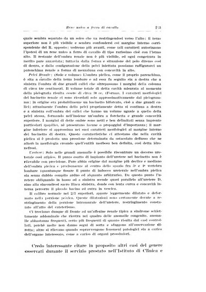 Archivio italiano di urologia