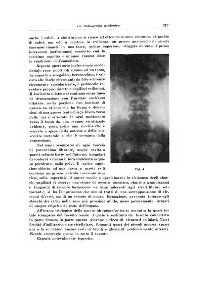 Archivio italiano di urologia