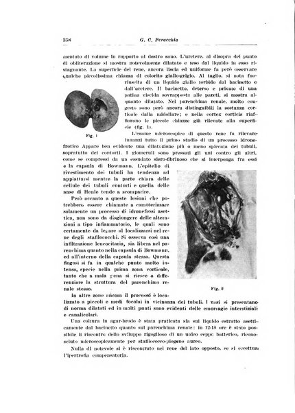 Archivio italiano di urologia