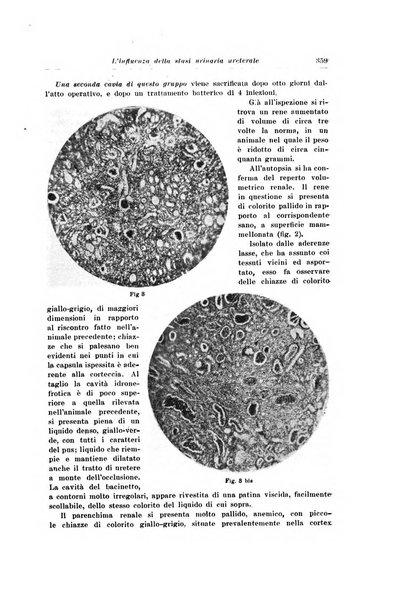 Archivio italiano di urologia