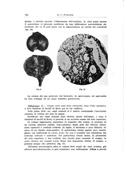 Archivio italiano di urologia