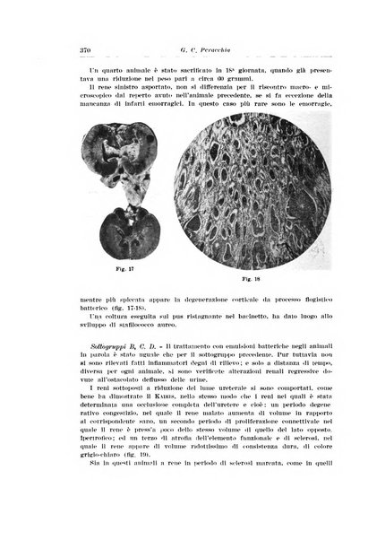 Archivio italiano di urologia