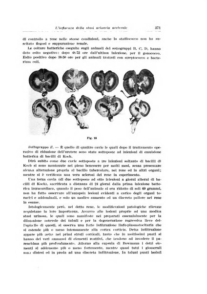 Archivio italiano di urologia