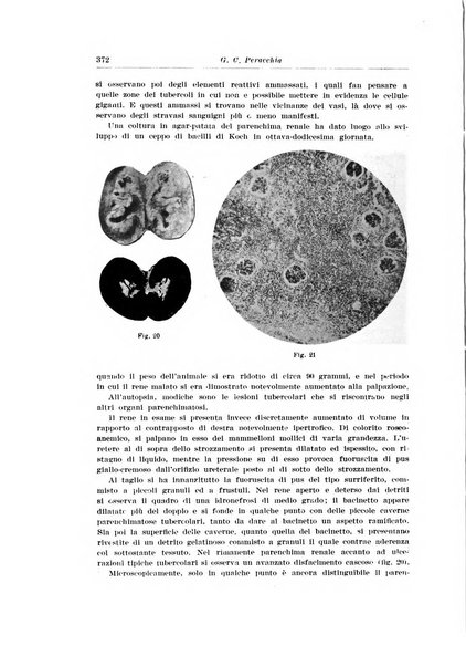 Archivio italiano di urologia