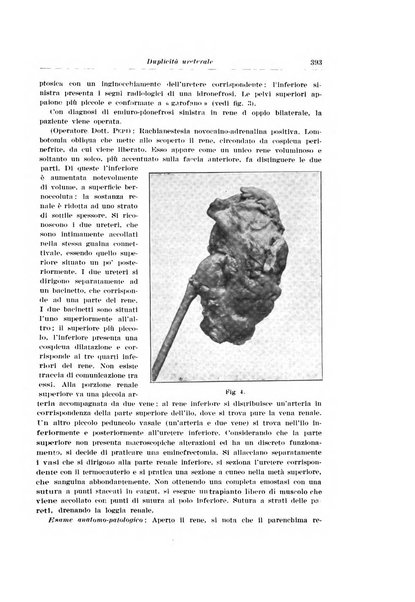 Archivio italiano di urologia