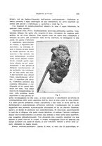 giornale/PUV0114683/1930/v.1/00000413