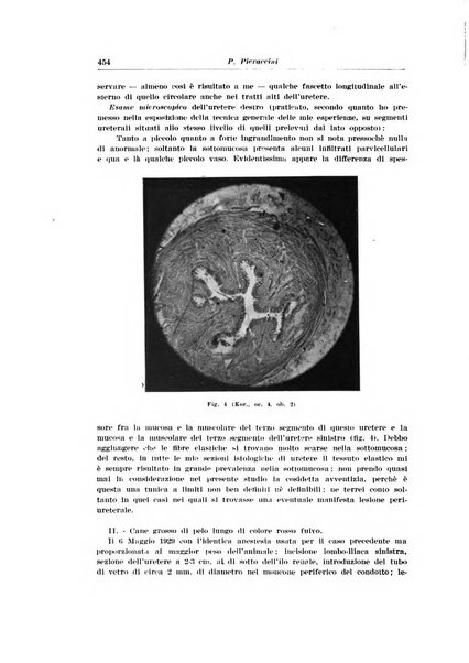 Archivio italiano di urologia