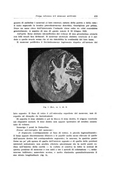 Archivio italiano di urologia