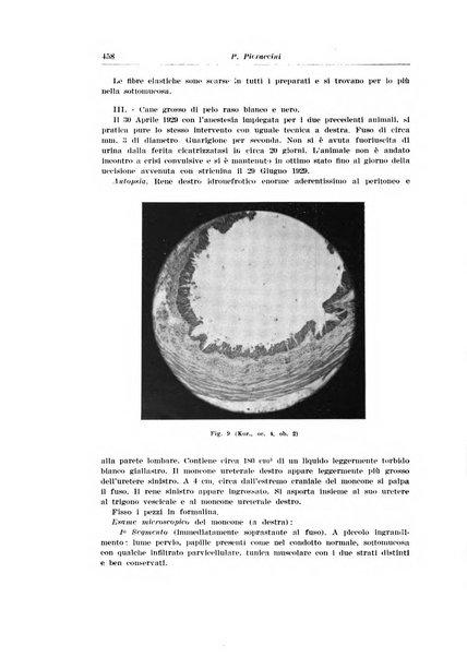 Archivio italiano di urologia