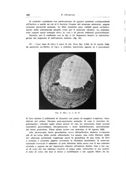 Archivio italiano di urologia