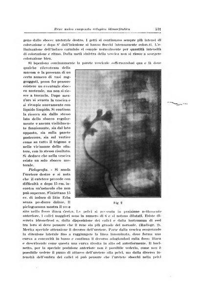 Archivio italiano di urologia