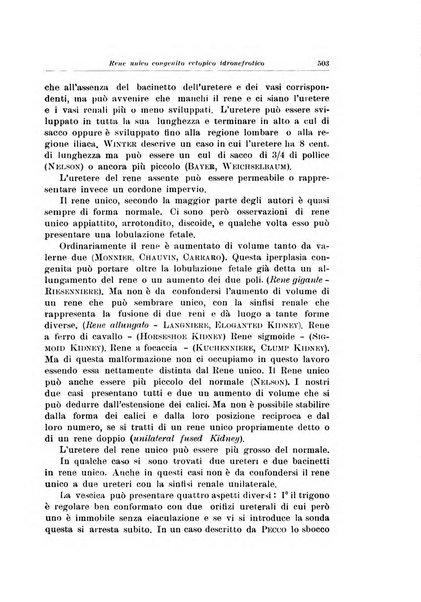 Archivio italiano di urologia