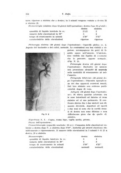 Archivio italiano di urologia