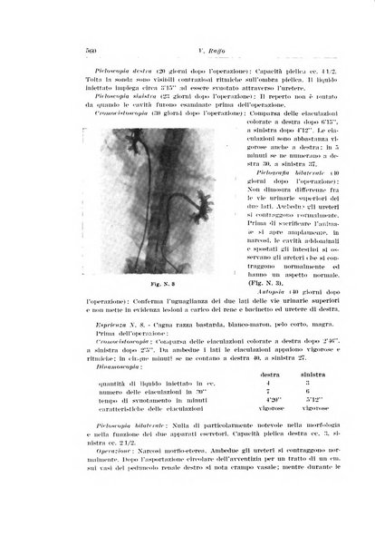 Archivio italiano di urologia