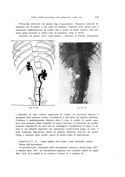 Archivio italiano di urologia