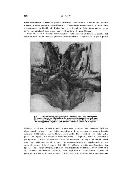 Archivio italiano di urologia