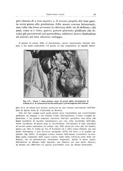 Archivio italiano di urologia