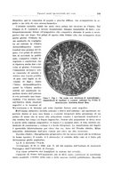 giornale/PUV0114683/1930/v.2/00000115