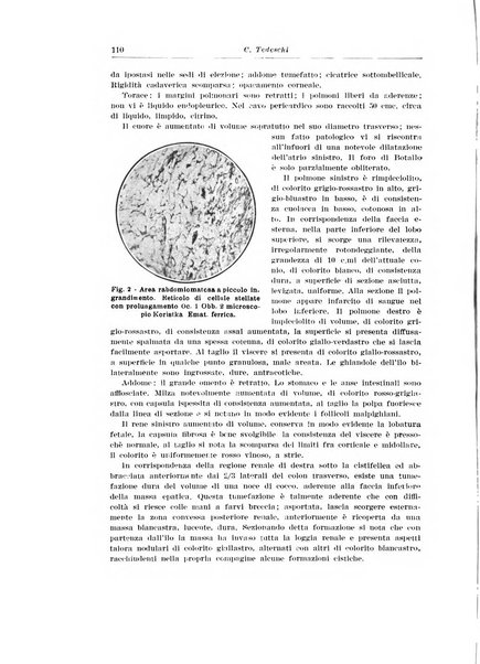 Archivio italiano di urologia