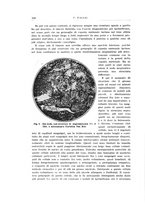 giornale/PUV0114683/1930/v.2/00000134