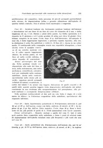 Archivio italiano di urologia