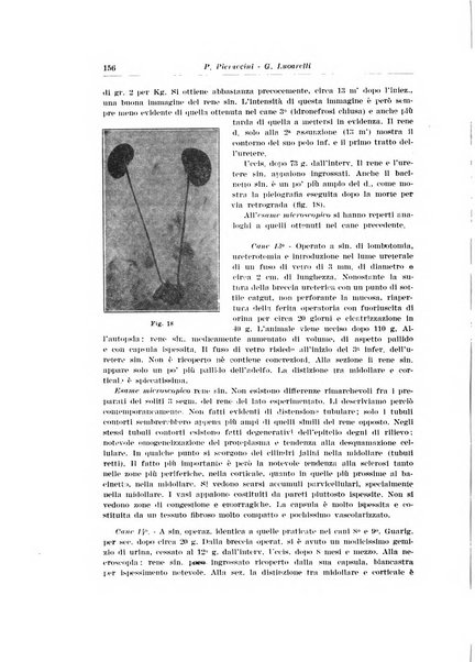 Archivio italiano di urologia