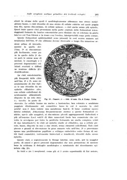 Archivio italiano di urologia