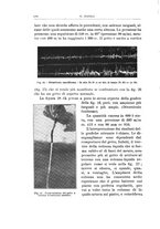 giornale/PUV0114683/1930/v.2/00000312