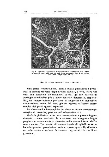 Archivio italiano di urologia