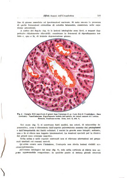 Archivio italiano di urologia