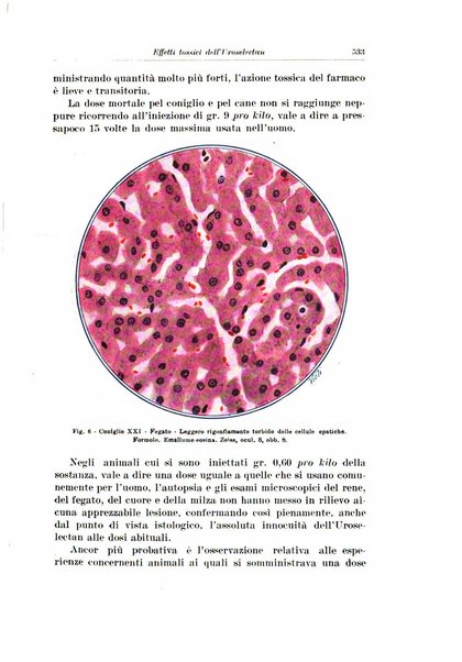 Archivio italiano di urologia