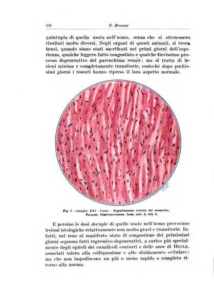 Archivio italiano di urologia