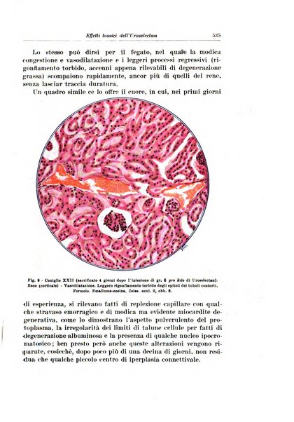 Archivio italiano di urologia