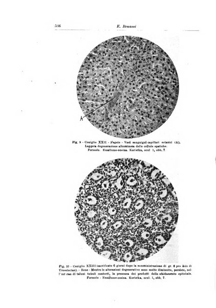 Archivio italiano di urologia