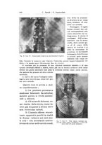 giornale/PUV0114683/1930/v.2/00000634