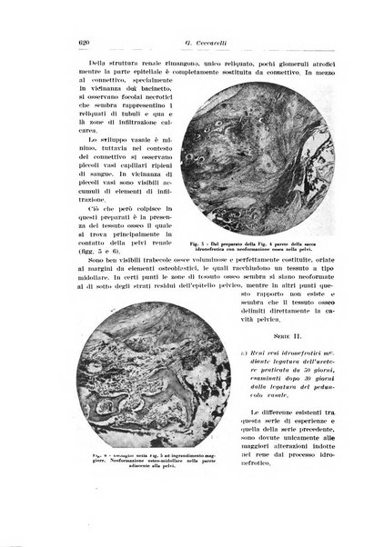 Archivio italiano di urologia