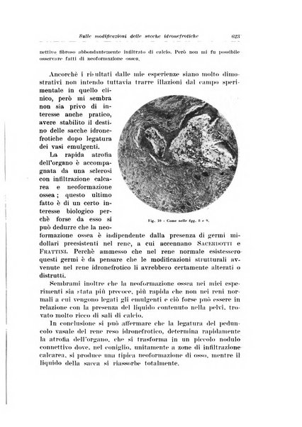 Archivio italiano di urologia