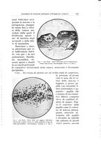 giornale/PUV0114683/1931/unico/00000129