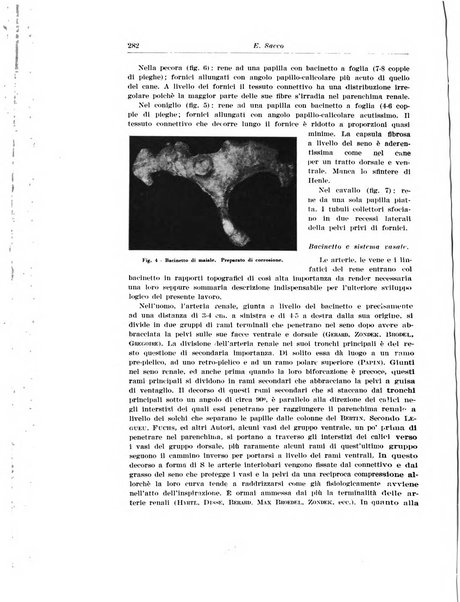 Archivio italiano di urologia